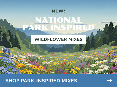 collections national-park-inspired-mixes banner