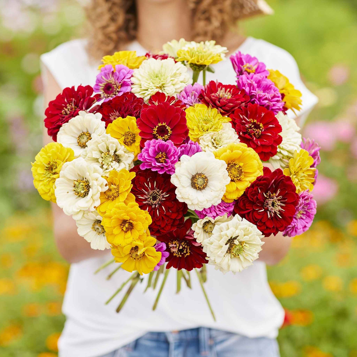 Zinnia Seeds